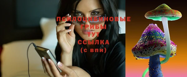 тгк Абаза