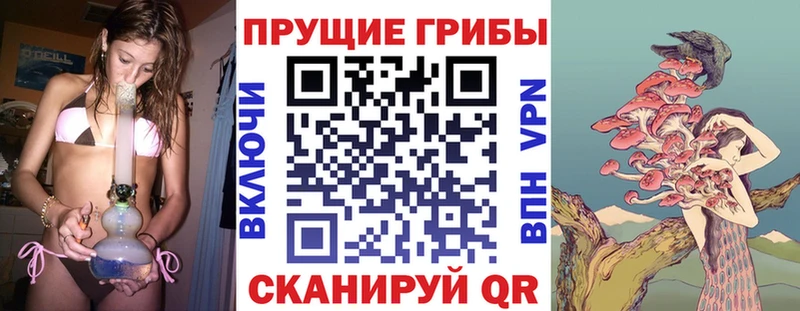 цена наркотик  Зарайск  Псилоцибиновые грибы Magic Shrooms 